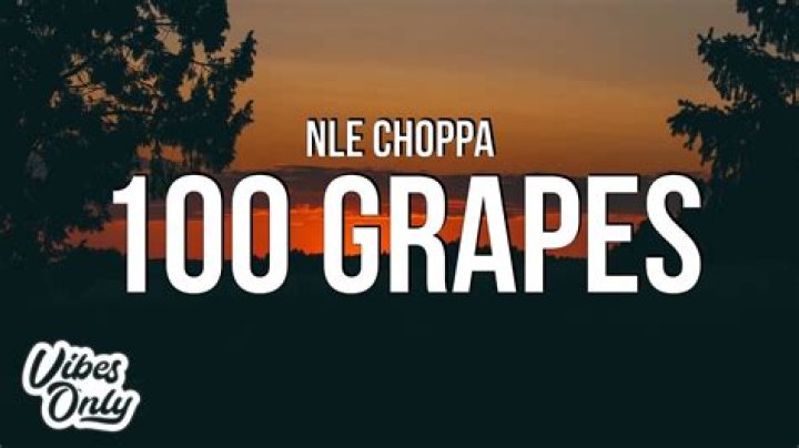 100 Grapes by Nle Choppa from USA