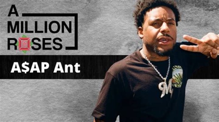 A$Ap Ant's Biography And Facts'