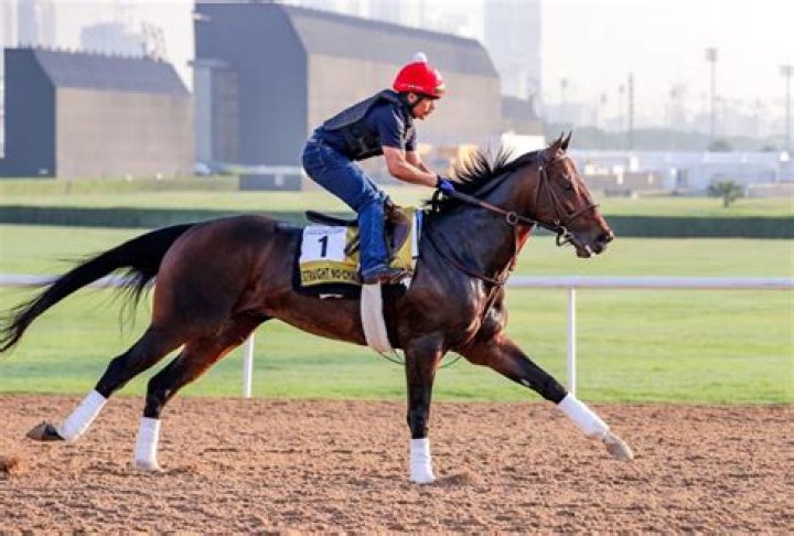 A Song For Mama by Straight No Chaser from USA