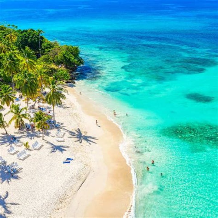 Alta Gama by Rochy Rd from Dominican Republic