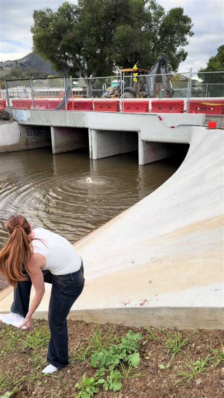 Anuel Aa's Questions | Popnable