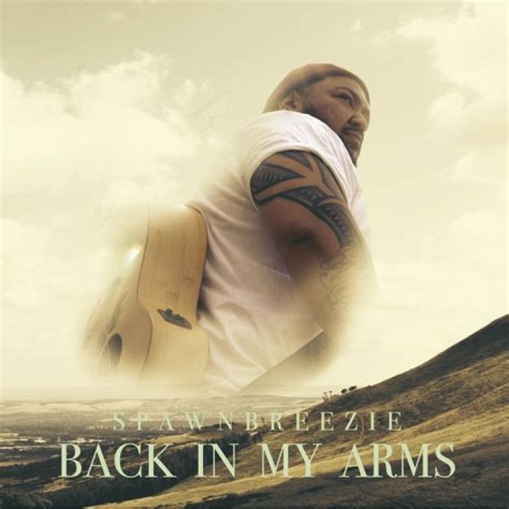 Back In My Arms by Spawnbreezie from USA
