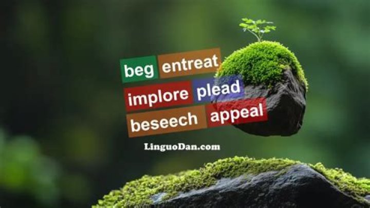 Beg & Plead 