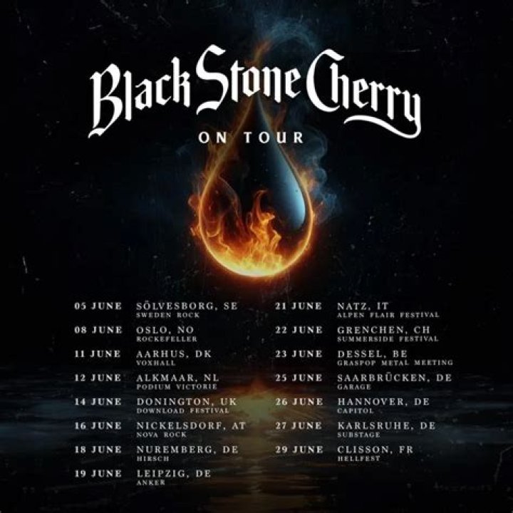 Black Stone Cherry from USA