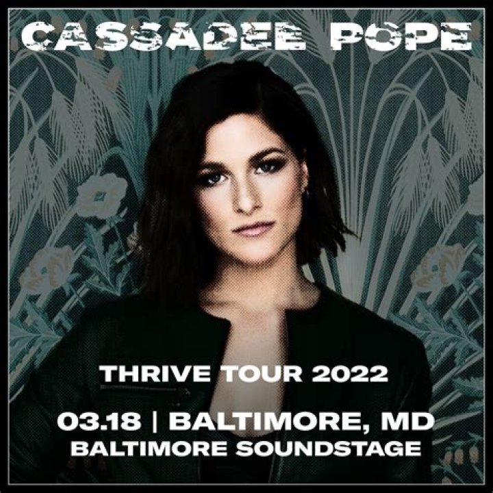 Cassadee Pope's Biography And Facts'