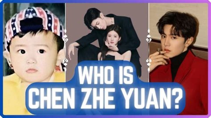 Chen Bing Net Worth - How Much Does Chen Bing Make?