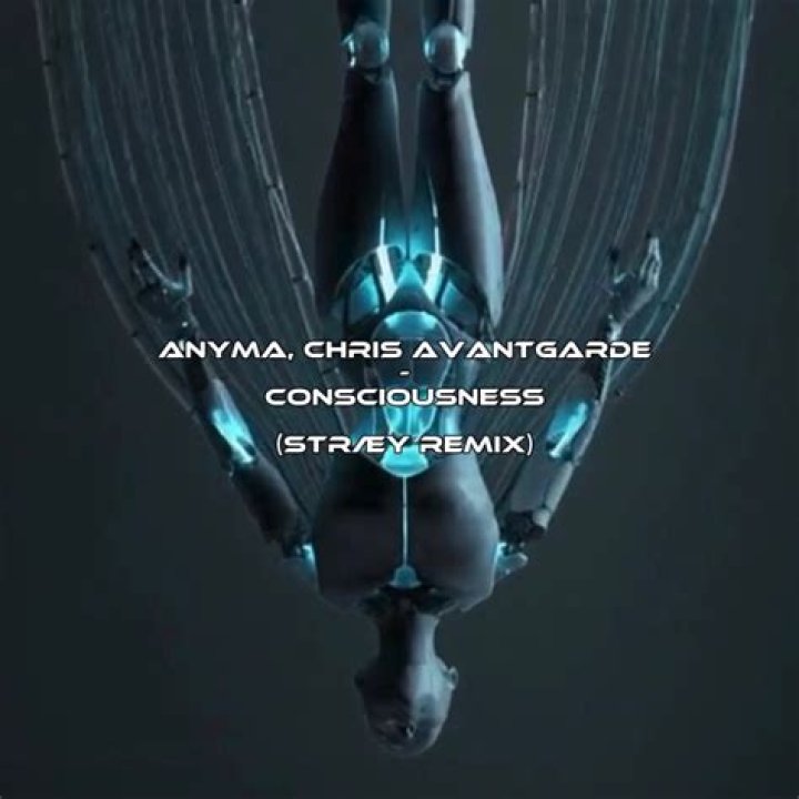 Consciousness by Anyma from USA