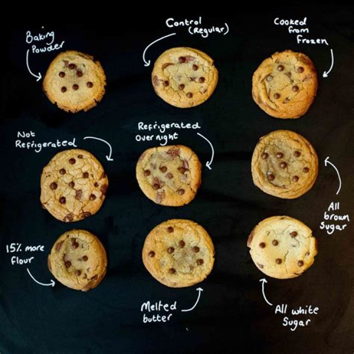 Cookie Net Worth - How Much Does Cookie Make?