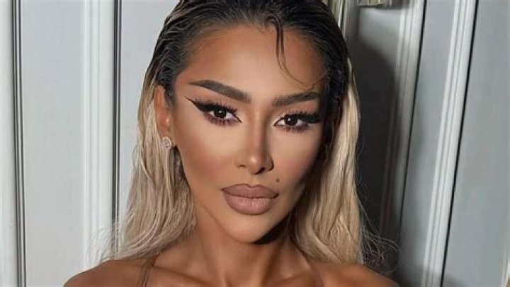 Cristina Pucean's Biography And Facts'