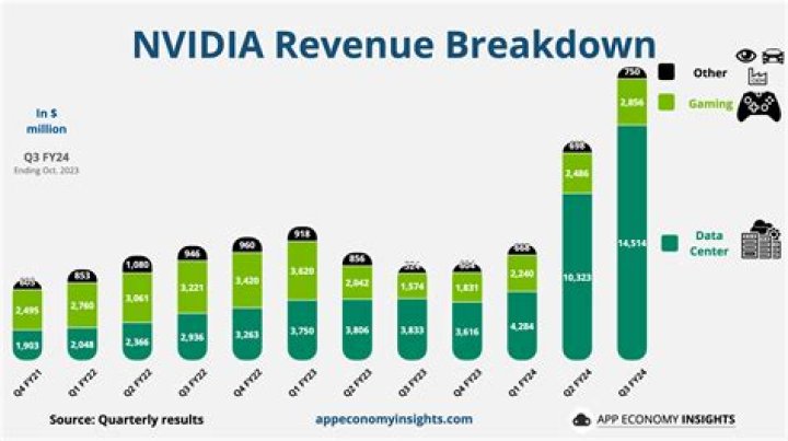 David Mercado's Net Worth And Earnings In 2024