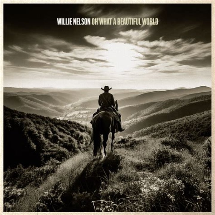 Don't Touch Me There by Willie Nelson from USA