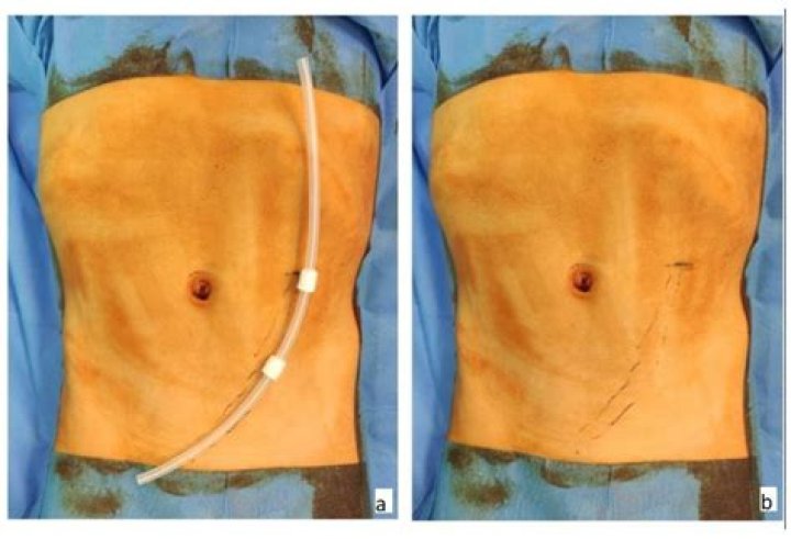 Dpr Ian from Australia | Popnable