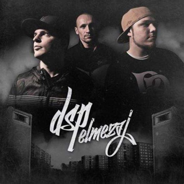 Dsp Net Worth - How Much Does Dsp Make?