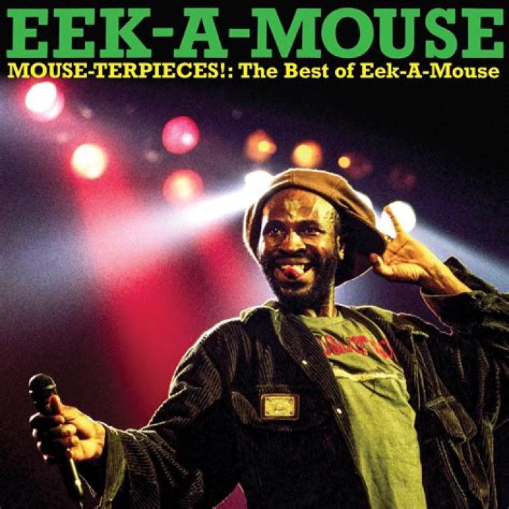Eek-A-Mouse Net Worth - How Much Does Eek-A-Mouse Make?