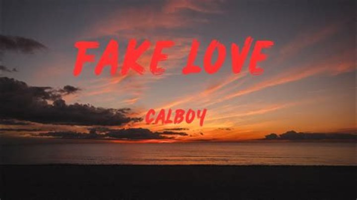 Fake Love by Calboy from USA