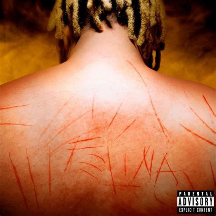 Felina by Mc Ryan Sp & Wiu from Brazil