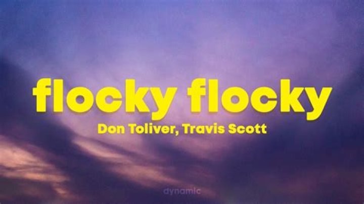 Flocky Flocky by Travis Scott & Don Toliver from USA