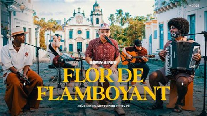 Flor Amargo Best Songs | Popnable