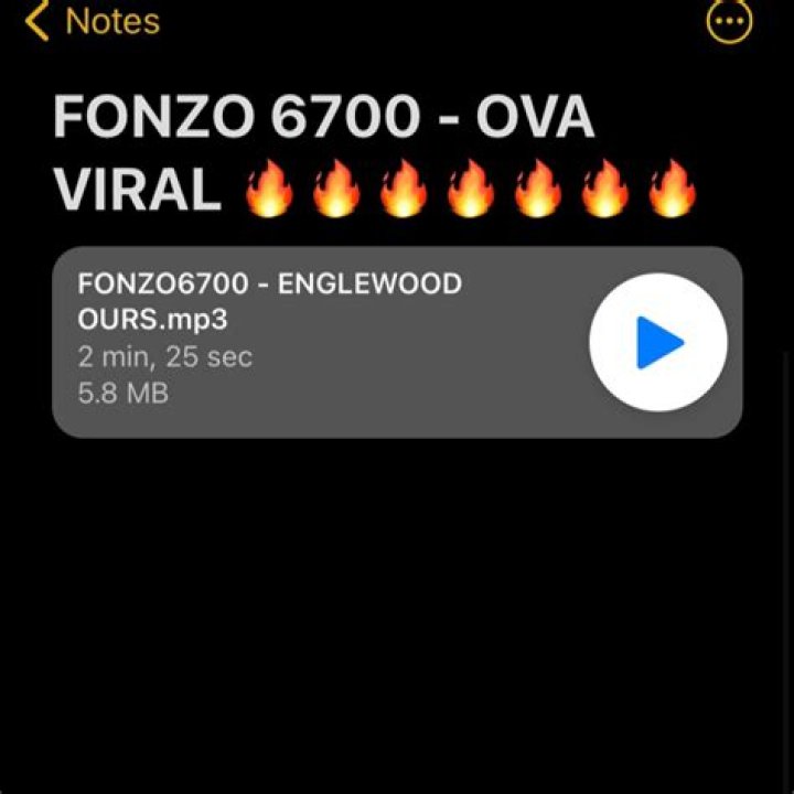Fonzo 6700's Insights