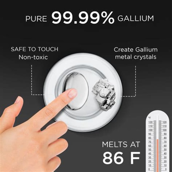 Gallium Net Worth - How Much Does Gallium Make?