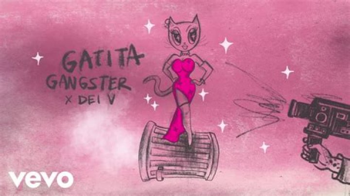 Gatita Gangster 