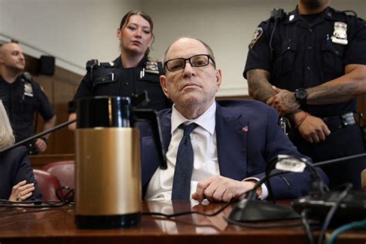 Get Back by Mo3 Brother Cogotti from USA