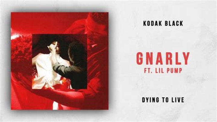 Gnarly by Kodak Black & Lil Pump from USA