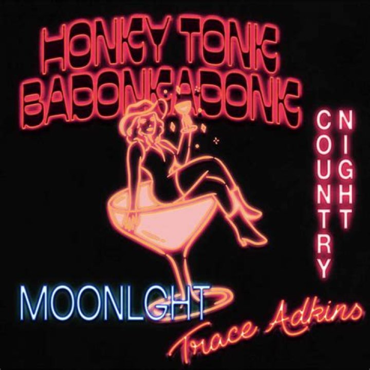 Got It Down by Trace Adkins from USA