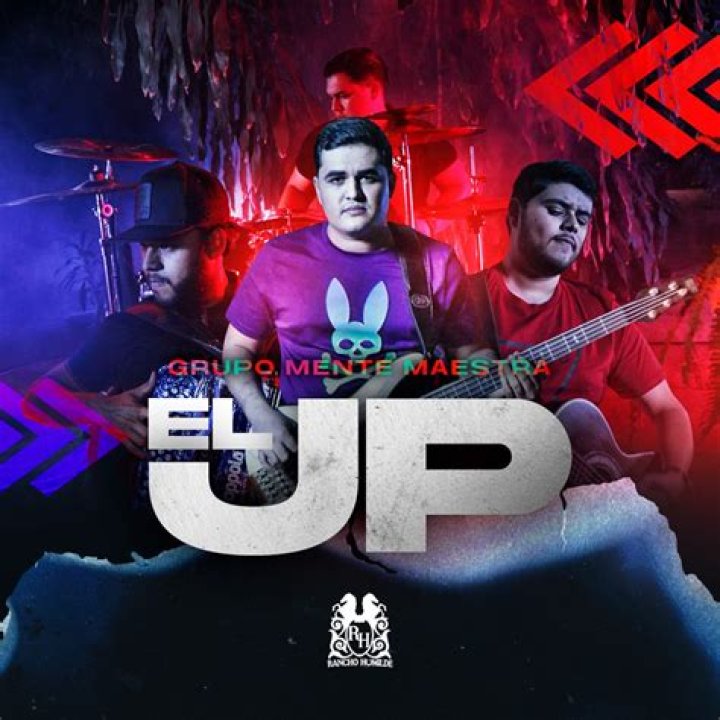 Grupo Mente Maestra's Insights