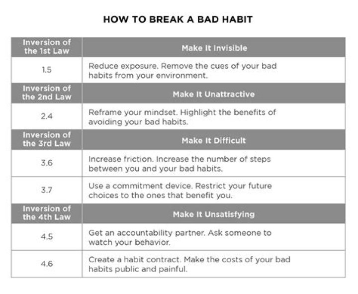 Habit by Katie Noel Insights