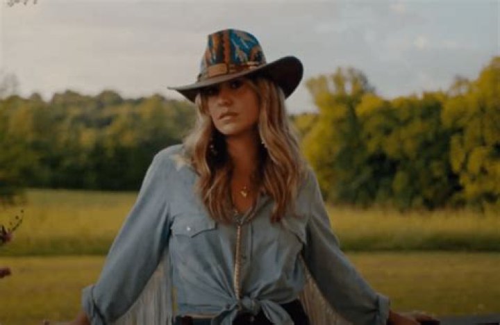 Hillbilly Hippie by Lainey Wilson from USA