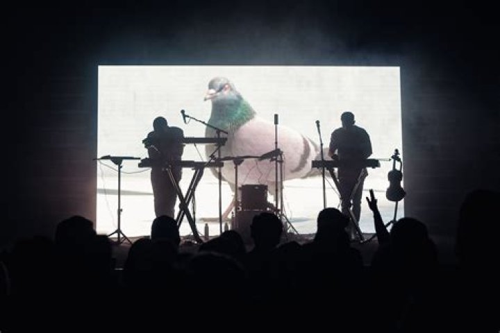 Hollow by Shallou & Emmit Fenn from USA