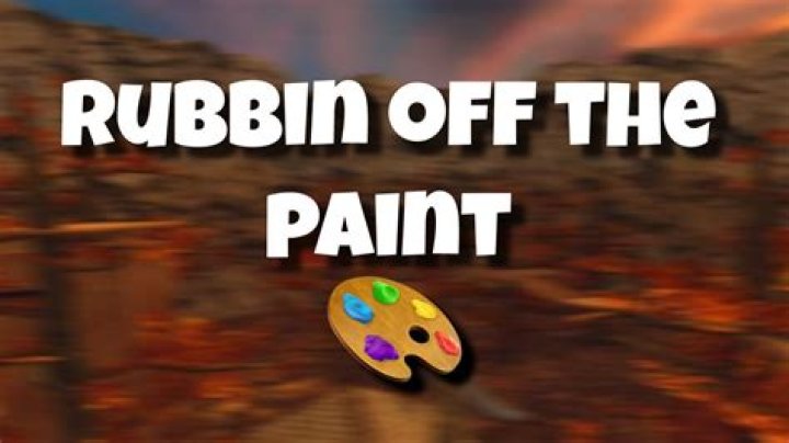 How Much Does 'Rubbin Off The Paint' Make? | Earnings | Net Worth