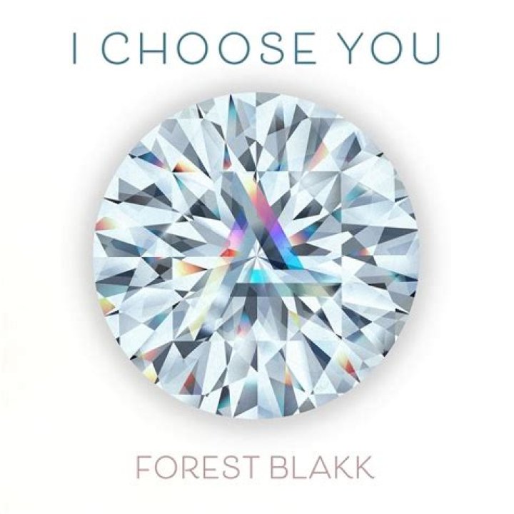 I Choose You by Forest Blakk from Canada