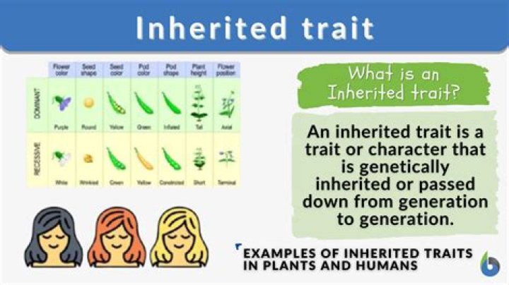 Inherited 