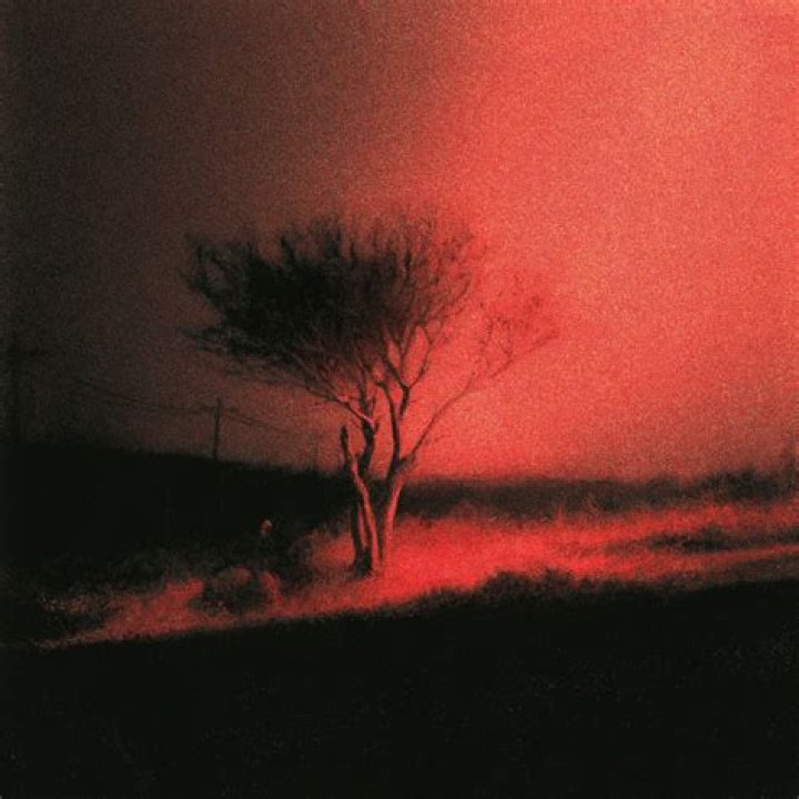 Introvert by Joji & Rich Brian from USA