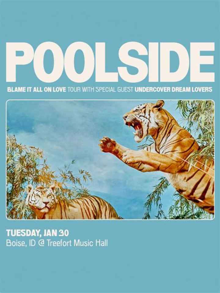 Jeffrey Paradise's Biography And Facts'