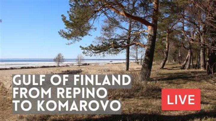 Komarovo by Dvrst from Russia