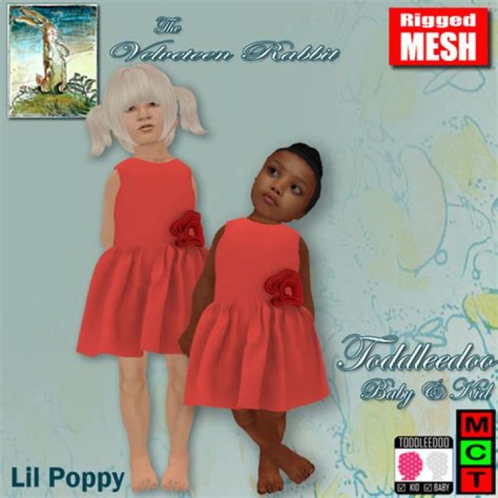Lil Poppy's Biography And Facts'