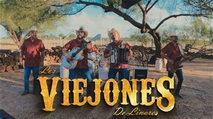 Los Viejones De Linares 