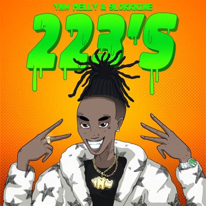 Lyrics & Translations of 223S by Ynw Melly