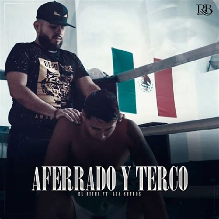 Lyrics & Translations of Aferrado Y Terco by El Bichi