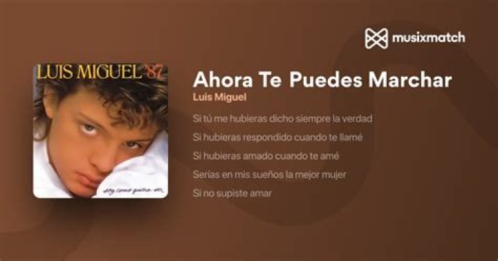 Lyrics & Translations of Ahora Te Puedes Marchar by Luis Miguel