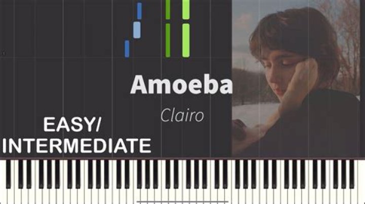 Lyrics & Translations of Amoeba by Clairo