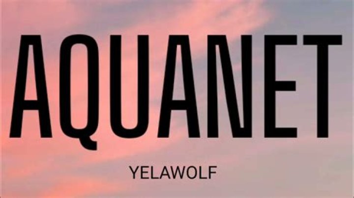 Lyrics & Translations of Aquanet by Yelawolf