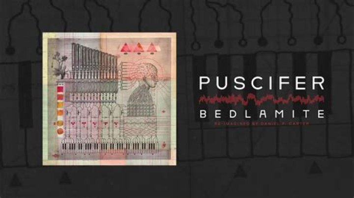 Lyrics & Translations of Bedlamite by Puscifer