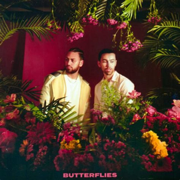 Lyrics & Translations of Butterflies by Max