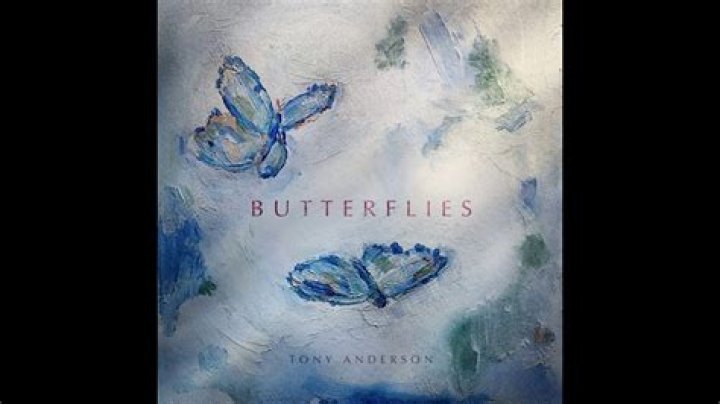Lyrics & Translations of Butterflies by Tony Anderson