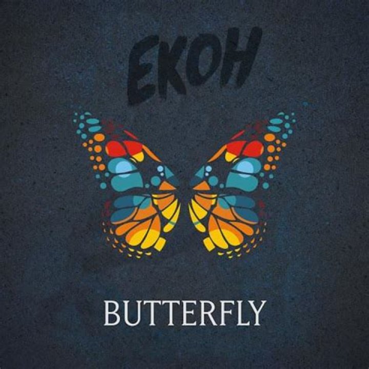 Lyrics & Translations of Butterfly by Ekoh