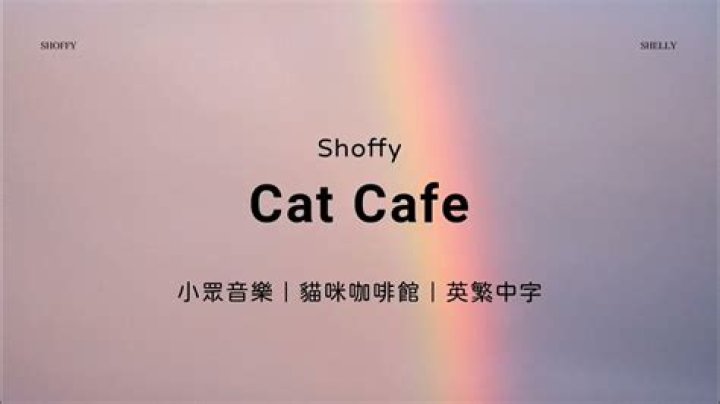 Lyrics & Translations of Cat Cafe by Shoffy